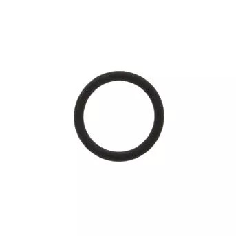 O Ring Viton fuer Spinel ESSE